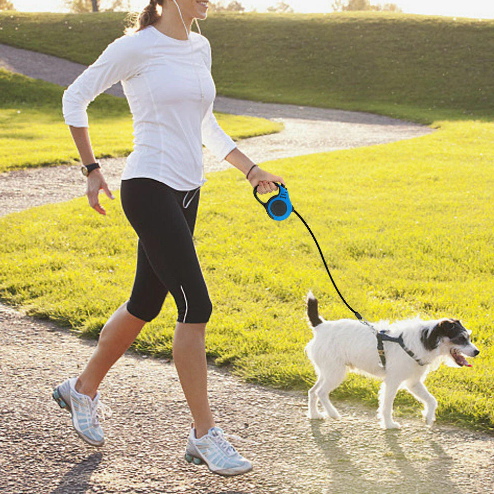 Comfortable dog harness for hiking and walking.